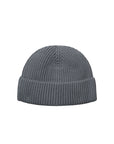 Carhartt WIP Banks Beanie (mirror) - Blue Mountain Store