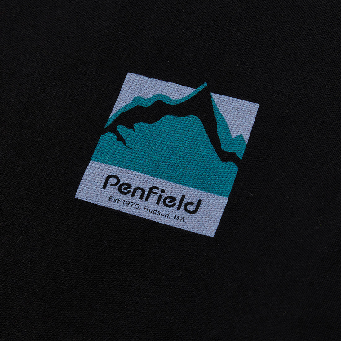 Penfield Mountain Scene Back Graphic T-Shirt (black) - Blue Mountain Store